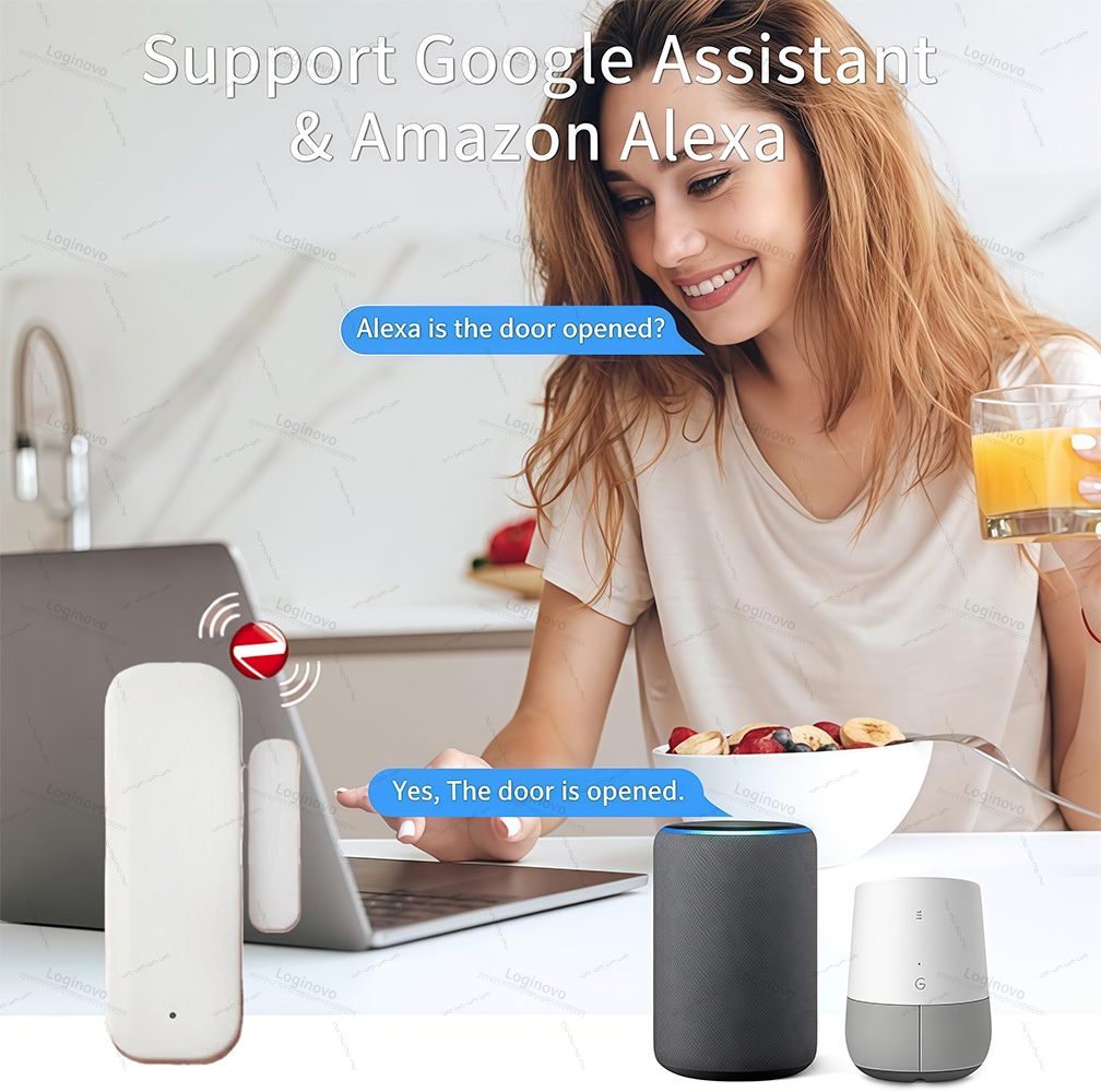 Tuya Zigbee Door Sensor Window - Window Alarm Sensor recensie en prijs