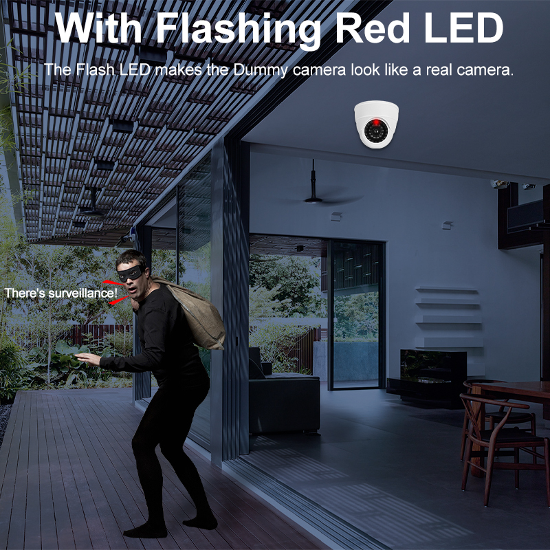 Fake Conch Dome Dummy Camera F - Home Security Brand recensie en prijs