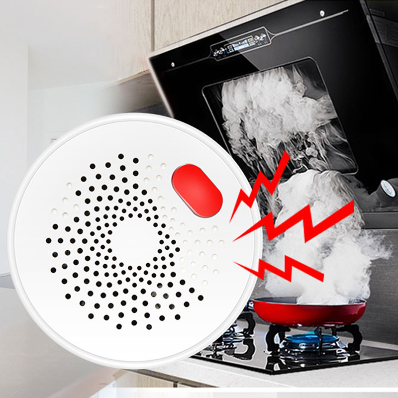 Tuya Smart Home Wifi Natural G - Home Security With Ai recensie en prijs