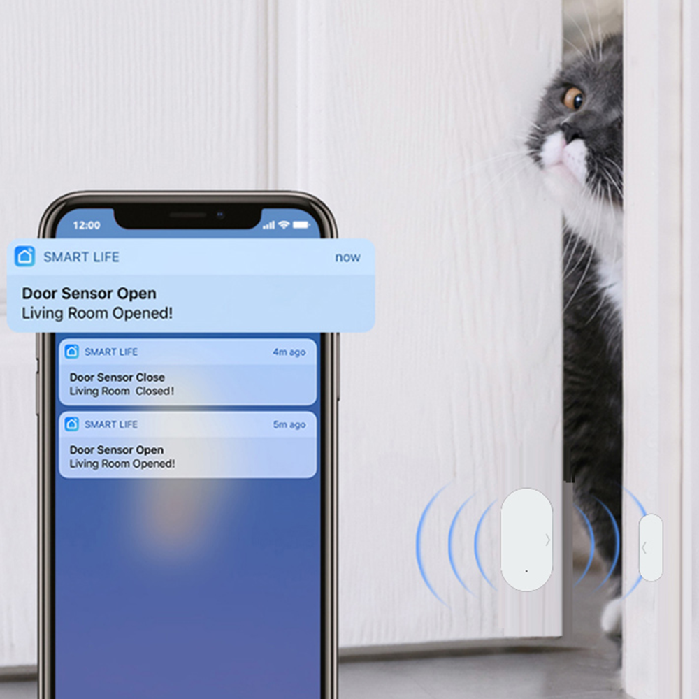 Tuya Zigbee Door Sensor Window - Window Alarm Sensor recensie en prijs