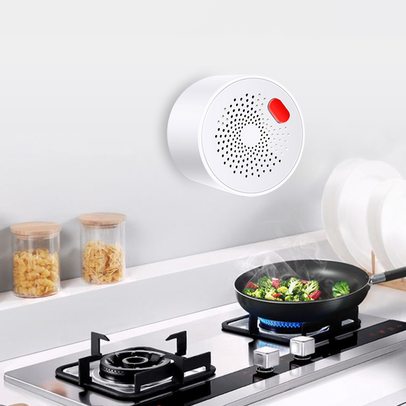 Tuya Smart Home Wifi Natural G - Home Security With Ai recensie en prijs