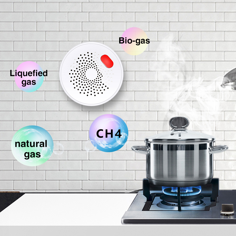 Tuya Smart Home Wifi Natural G - Home Security With Ai recensie en prijs