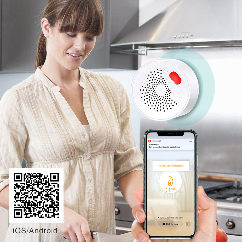 Tuya Smart Home Wifi Natural G - Home Security With Ai recensie en prijs